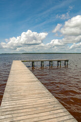 Obraz premium New River in Southeastern North Carolina