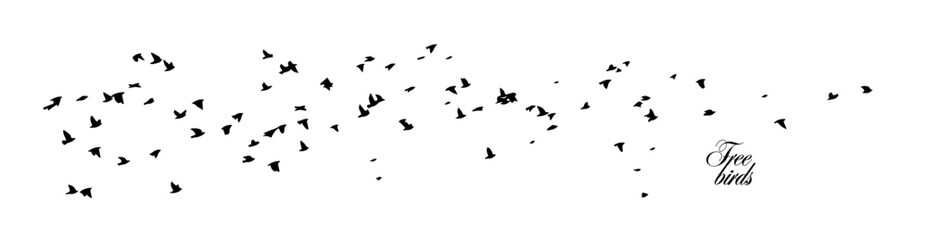 Flying birds silhouette flock. Horizontal white background with a flying flock. hand drawing. Not AI, Vector illustration