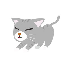 cute set of gray cats with yellow eyes yellow