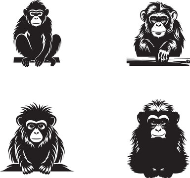 set of monkey silhouettes on isolated background