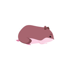 Cute brown hamster side view flat style, vector illustration