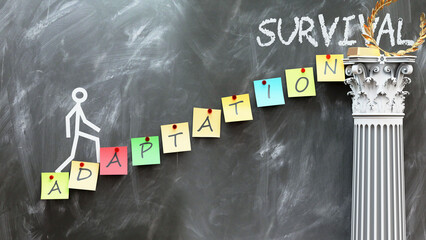 Adaptation leads to Survival - a metaphor showing how adaptation makes the way to reach desired survival. Symbolizes the importance of adaptation and cause and effect relationship.,3d illustration