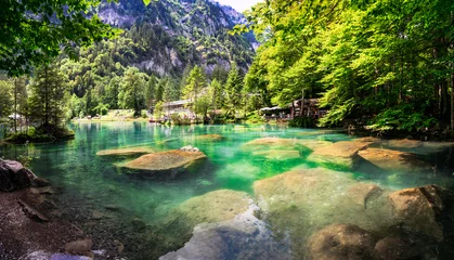 Schilderijen op glas Blausee - one of the most beautiful lake in Europe, located in Switzerland, canton Berne. famous with emeral clear and trasparent waters , surrounded by Alps mountains . Popular tourist destination © Freesurf