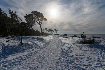 Remains of fortifications in winter next to Liepaja, Latvia.