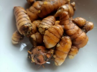 Turmeric root in a bowl, photo taken in malaysia. (Curcuma longa)
