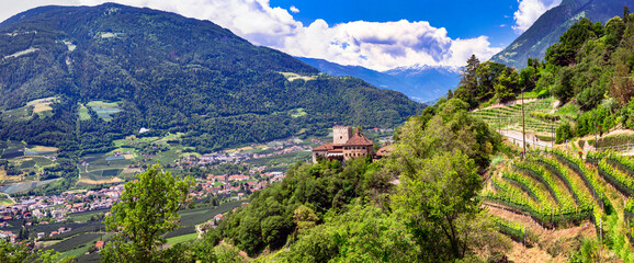picturesque Italian scenery.  Merano town and his castels. surrounded by Alps mountains and vineyards. Bolzano province, Italy