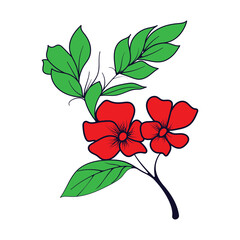 Colorful flower vector illustration
