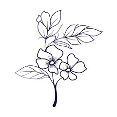 Hand-drawn black outline vector template
