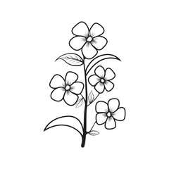 Hand-drawn black outline vector template
