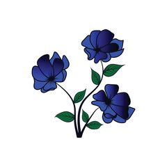 Colorful flower vector illustration