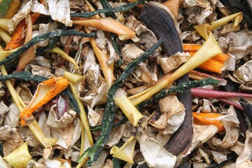 Various food waste close-up. Processing of food waste debris. Dry vegetables garbage prepare for...