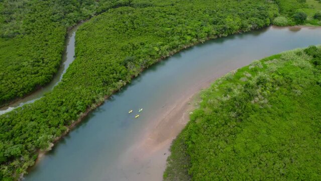 ドローンで空撮した奄美大島のマングローブ林とカヤック（Amami Oshima Island Bird Eye）