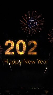 Vertical, Happy new year  2024 , Celebration Fireworks in the night sky, people watching fireworks, Concept merry christmas and happy new year