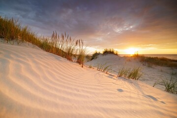 Fototapeta na wymiar Sunset in the dunes at the North Sea, De Panne, Flanders, Belgium, Europe