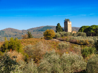 Italia, Toscana, i vigneti e  campagna Toscana in autunno .