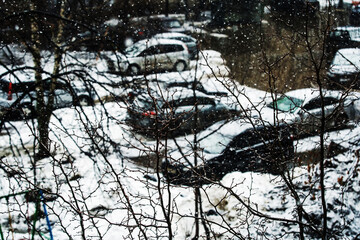 Tree branches on the background of a parking lot. Foreground. Selective focus
