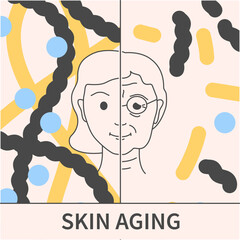 Collagen and skin aging. Skin changes in younger and older woman. Cell structure background. Beauty and wellness concept. Medical vector illustration.