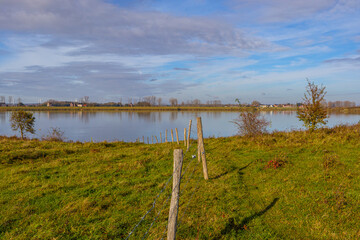Belgian nature reserve De Wissen Maasvallei, fence of wooden posts and wire on floodplain on bank of Maas river, bare trees and horizon in background, sunny autumn day in Dilsen-Stokkem, Belgium