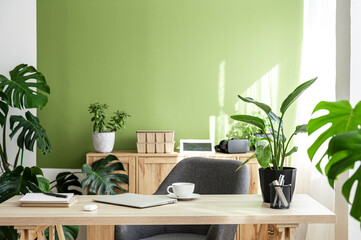 Modern bright interior of home office with furniture and plants at desk