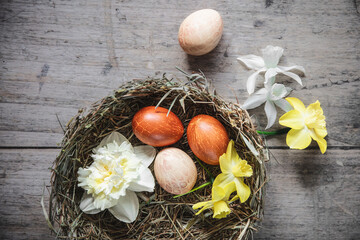 Easter eggs and daffodil heads indecorativenest