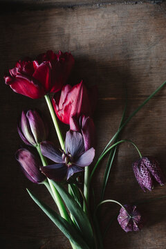 Freshly picked tulips, snakes head fritillaries (Frittilaria meleagris) and Persian lilies (Frittilaria persica)