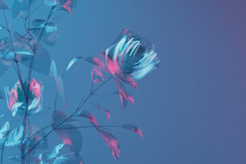 3D render of glass blooming roses against blue background