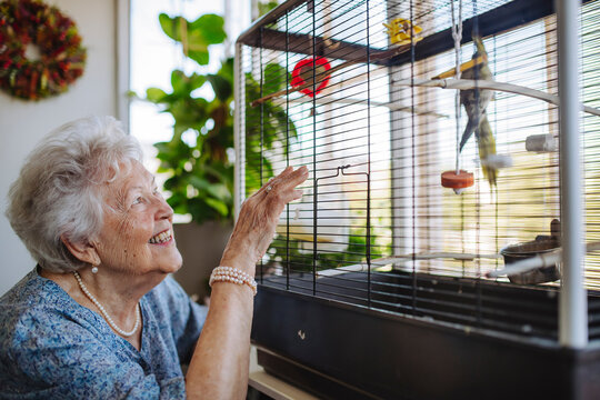 Happy senior woman looking at bird in cage at home
