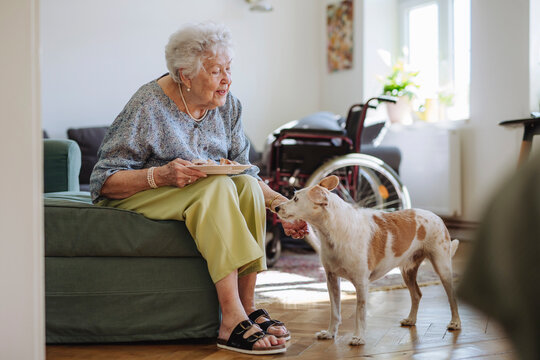 Smiling senior woman holding plate of food and stroking dog at home