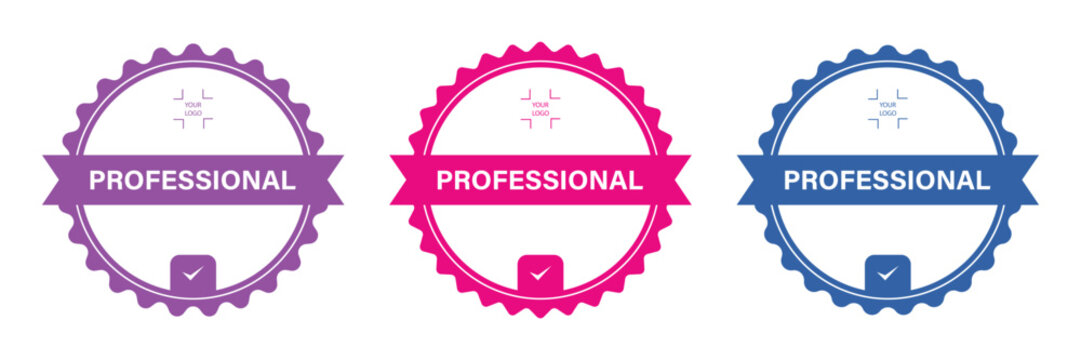Professional certificate done. Certified logo badges set. Criteria level digital certificate with your logo copy space. Vector certified template