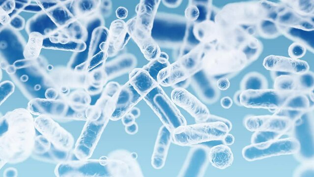 Enterobacteriaceae, gram-negative rod-shaped bacteria, part of intestinal microbiome and causative agents of different infections, 3D rendering. Escherichia coli, Klebsiella, Enterobacter and other