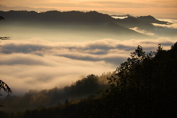 Colline del Monferrato all'alba