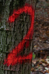 Detailaufnahme, eine rote zwei 2 auf einem Baumstamm im Wald zur Kennzeichnung für die nächste...