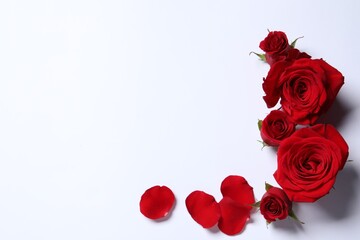 Fototapeta na wymiar Beautiful red roses and petals on white background, flat lay. Space for text