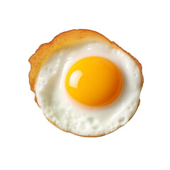 Fried egg clip art