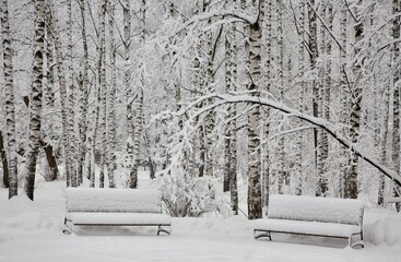 Benches in fluffy fresh snow on a frosty winter day - 684531405
