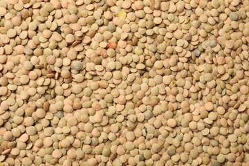 Fototapeta premium Many raw lentils as background, top view