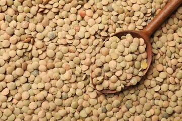 Obraz premium Spoon on many raw lentils, top view. Space for text