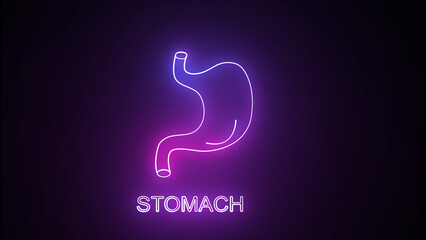 Glowing, colorful neon Human stomach icon is isolated on a black background. Animation of a human stomach with glowing neon lines. Human body anatomy, stomach