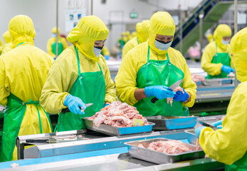 Worker cut and trim chicken parts in production line.