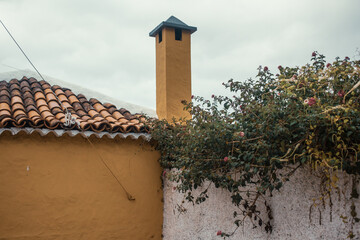 From the streets of the historical town Icod de los Vinos. Tenerife, Canary Islands, Spain