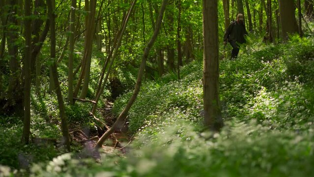 A man walking through a woodland wild garlic filled valley 