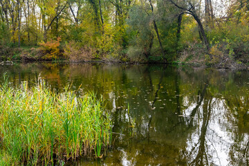 The beginning of autumn on a small river on a gray autumn day.