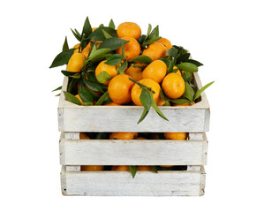 Many fresh tangerines with leaves in wooden crate isolated on white