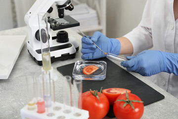 Scientist inspecting tomato in laboratory, closeup. Food quality control