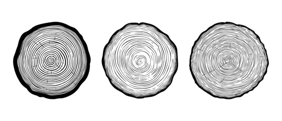 set vector illustration of round tree trunk cuts, sawn pine or oak slices, lumber. Saw cut timber, wood. Wooden texture with tree rings. Hand drawn sketch isolated on white background - obrazy, fototapety, plakaty