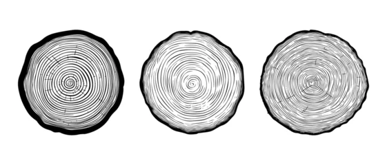 Deurstickers set vector illustration of round tree trunk cuts, sawn pine or oak slices, lumber. Saw cut timber, wood. Wooden texture with tree rings. Hand drawn sketch isolated on white background © Bodega