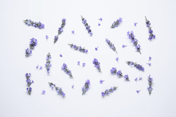 Beautiful aromatic lavender flowers on white background, flat lay