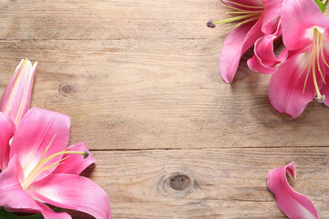 Beautiful pink lily flowers on wooden table, flat lay. Space for text