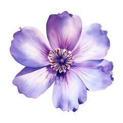 isolated illustration of violet exotic flower. Created with Generative AI