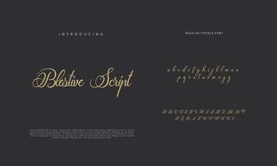 Handwritten Script font. Hand drawn brush style modern calligraphy cursive typeface. Hand Lettering and Custom Typography alphabet for Designs: Logo, Greeting Cards, Poster. Vector Brush type set.
